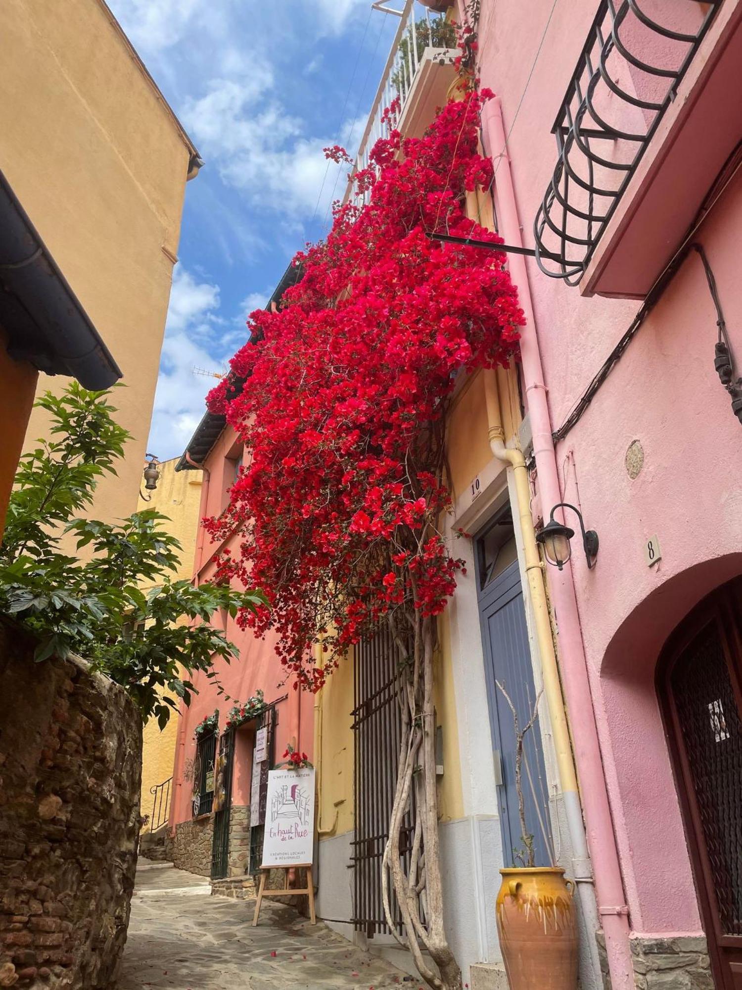 5Rbut1 - Maison Familiale Sur Deux Niveaux En Plein Coeur Du Centre Ville Κολιούρ Εξωτερικό φωτογραφία